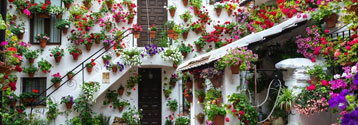 Patios de Córdoba